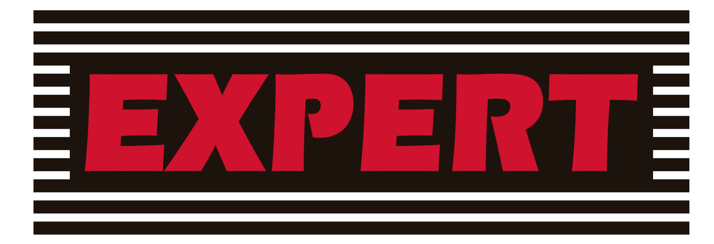 LOGOTIPO EXPER